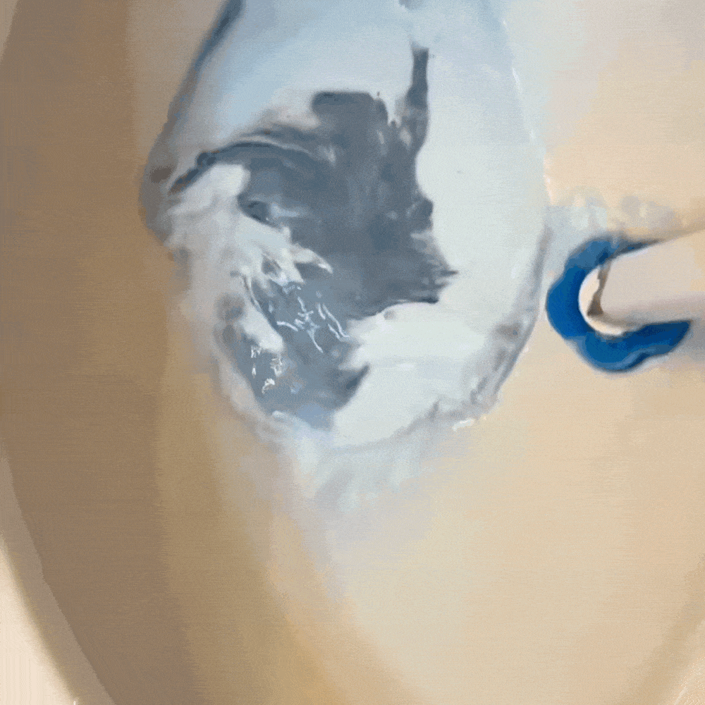 מברשת שירותים עם ראשי ניקוי חד־פעמיים