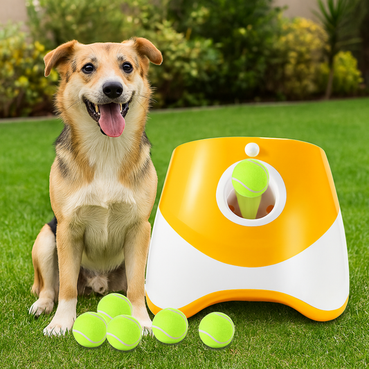 משגר כדורים אוטומטי - משחק עצמאי לכלבים שאוהבים לרוץ ולשחק