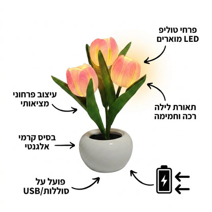 BloomLight - מנורת לילה LED דקורטיבית בעיצוב פרחוני מוארת